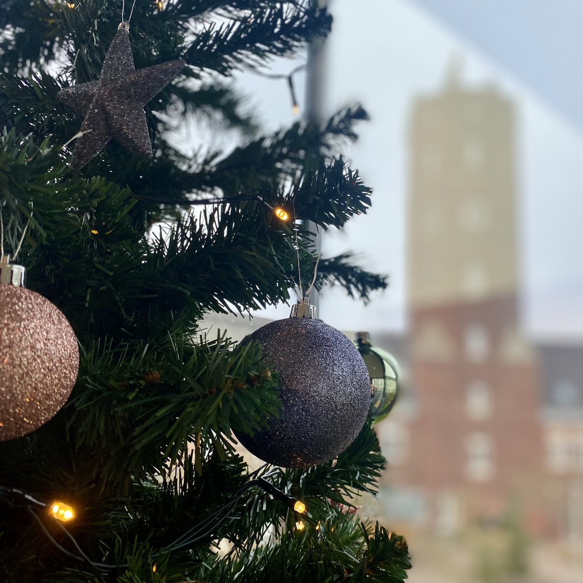 Tannenbaum mit Hotel im Hintergrund